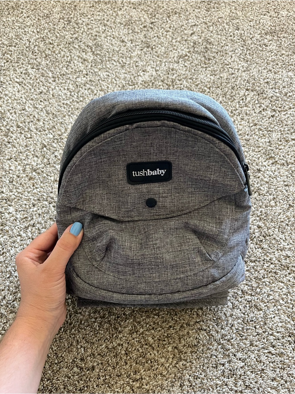 Gray Tushbaby